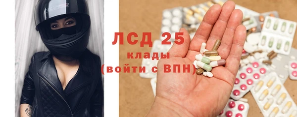 спайс Гусев