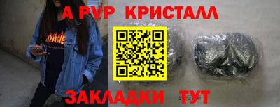 дживик Гай
