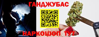 спиды Гагарин