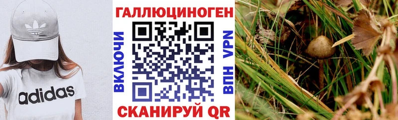 купить наркотик  Сердобск  МЕГА онион  Псилоцибиновые грибы ЛСД 
