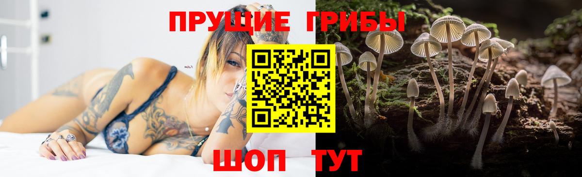 Галлюциногенные грибы MAGIC MUSHROOMS Сердобск
